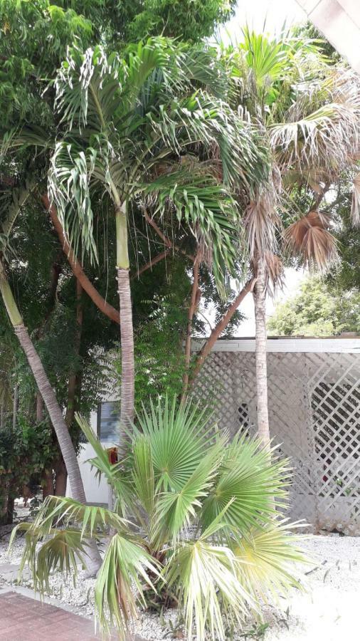 Palm Trees Apartments Willemstad Esterno foto